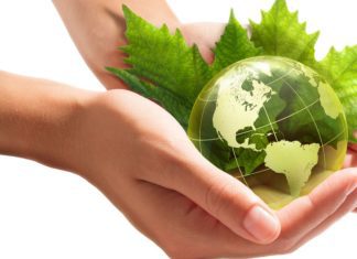 Sustainability-related Assurance and Reporting: A Comprehensive Insight Sustainability-related Assurance and Reporting A Comprehensive Insight