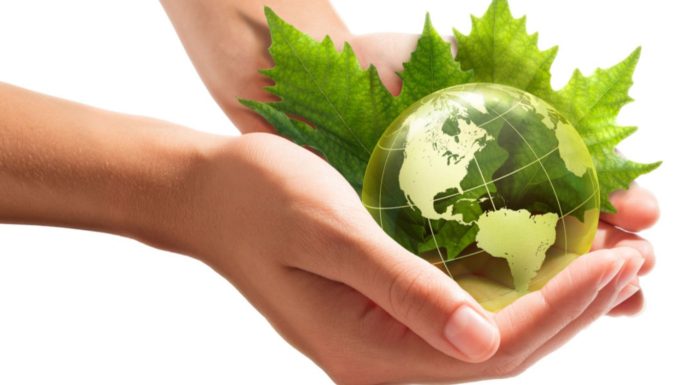 Sustainability-related Assurance and Reporting A Comprehensive Insight