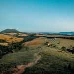 Why Farm Stays are the Future of Sustainable Tourism? Why Farm Stays are the Future of Sustainable Tourism