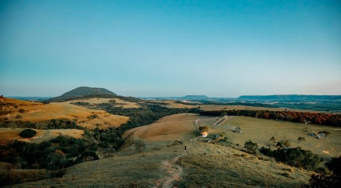 Why Farm Stays are the Future of Sustainable Tourism