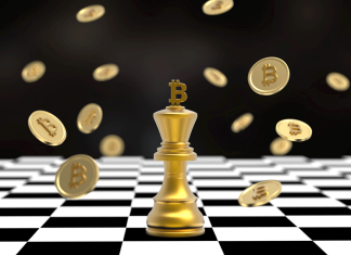 A Deep Dive into Bitcoin Dominance bitcoin dominance