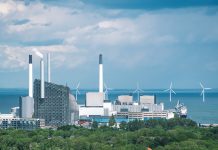 Carbon Neutrality Conundrum