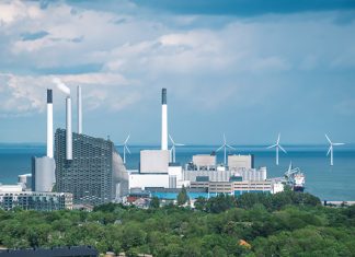 Carbon Neutrality Conundrum