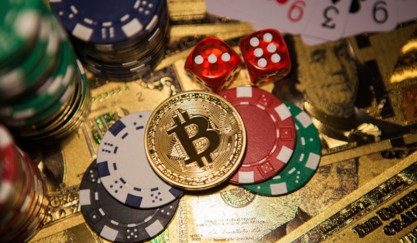 The Social Dynamics of bitcoin casino game