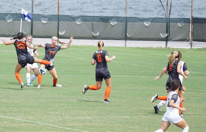 Economic and Statistical Insights into the Top Women's Sports