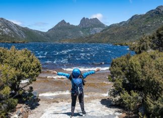 What to Do During Your First Montague Island Tour First Montague Island Tour