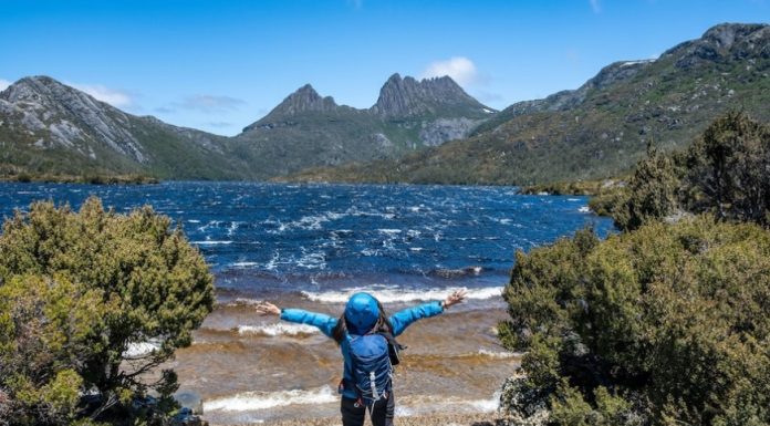 First Montague Island Tour