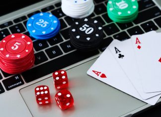SouthAfricanCasinos.co.za Negotiates Unique Bonus with Springbok Casino Online casino---