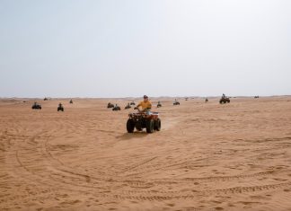 Adventures Desert Safari Dubai Experience Dubai
