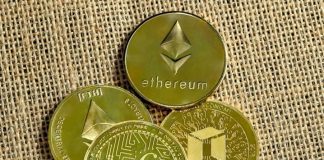 Looking for BTC-like Profits Without Volatility? Invest in These Small-Cap Dinos Driving Real-World Adoption bitcoin