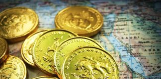 What Is a Gold-backed IRA: The Ultimate Guide coin