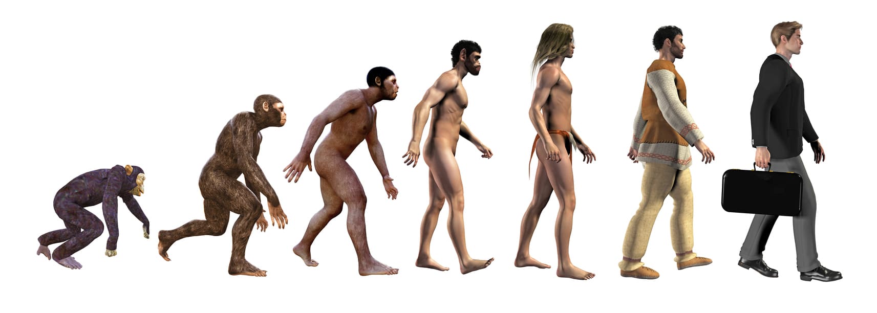 The Evolution of Humans: A Journey Through Time - The European