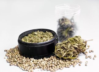 Best Cannabis Seed Banks of 2024 for High-Yield + Potent Cannabis Seeds iStock-1696737653