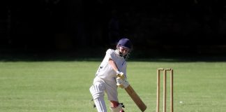 The Power of Data-Driven Cricket: A Deep Dive into the European Cricket Network’s Success with HCL Discover iStock-487225101