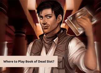 Book of Dead Slot Review + 8 Top Sites for Real Money to Spin It where to play book of dead