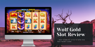 Wolf Gold Slot Review & The BEST Gambling Sites to Spin This Real Money Game wolf gold overview
