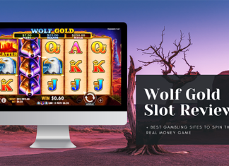 Wolf Gold Slot Review & The BEST Gambling Sites to Spin This Real Money Game wolf gold overview