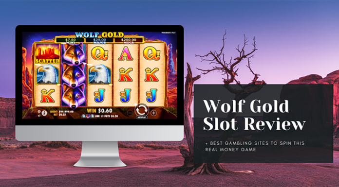 wolf gold overview