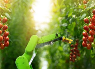 How To Streamline Your Food Processing Operations iStock-1307025141 (1)