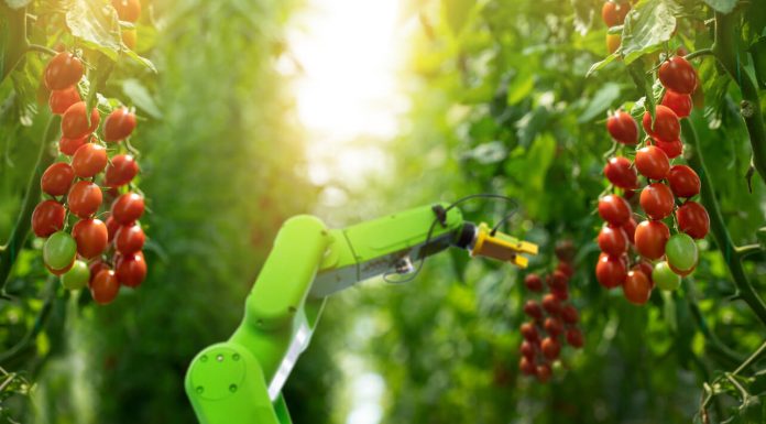 iStock-1307025141 (1)