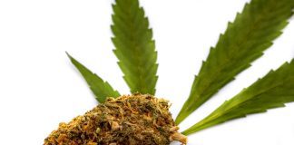 White Runtz Weed Strain Information & Reviews: Effects, Potency, Growing Tips & More iStock-1352890515