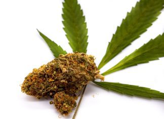 White Runtz Weed Strain Information & Reviews: Effects, Potency, Growing Tips & More iStock-1352890515