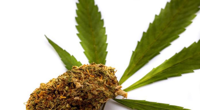 White Runtz Weed Strain Information & Reviews: Effects, Potency, Growing Tips & More iStock-1352890515