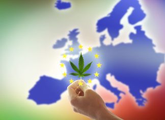 Cannabis Legalization in Europe: A Growing Trend? iStock-1357685094