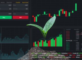 Brokerage Affiliate Programs HUD menu on top of zucchini sprout on a black background. Stock charts. brokerage terminal.