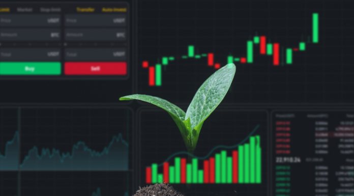 HUD menu on top of zucchini sprout on a black background. Stock charts. brokerage terminal.