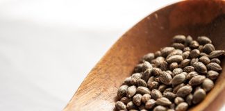 Buy Marijuana Seeds Legally in 2024: Autoflowering & Feminized iStock-494938524