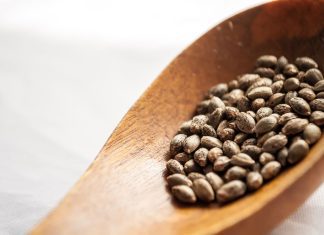 Buy Marijuana Seeds Legally in 2024: Autoflowering & Feminized iStock-494938524
