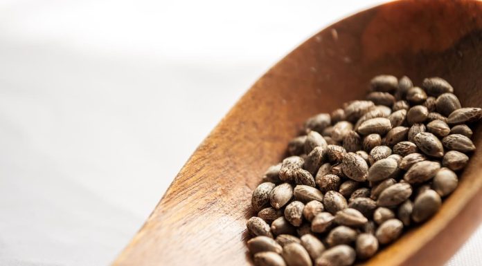 Buy Marijuana Seeds Legally in 2024: Autoflowering & Feminized iStock-494938524