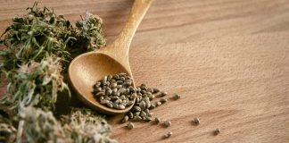 Best Marijuana Seed Banks That Ships to the US Discreetly & Legally in 2024 iStock-500800632