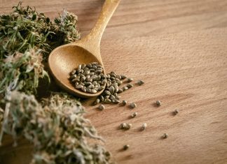 Best Marijuana Seed Banks That Ships to the US Discreetly & Legally in 2024 iStock-500800632