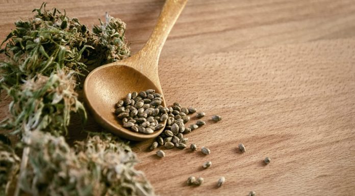 Best Marijuana Seed Banks That Ships to the US Discreetly & Legally in 2024 iStock-500800632