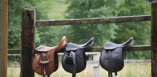 Exploring the 12.5″ Western Youth Ranch Saddle by New Morris Saddlery 1-967: A Comprehensive Guide Three saddles