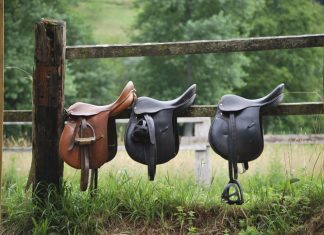 Exploring the 12.5″ Western Youth Ranch Saddle by New Morris Saddlery 1-967: A Comprehensive Guide Three saddles