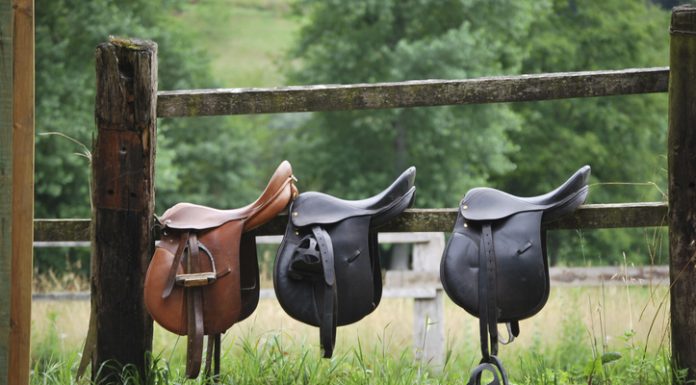 Three saddles