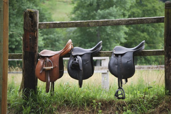 Three saddles