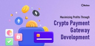 Maximizing Profits Through Crypto Payment Gateway Development Crypto Development