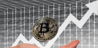 What Is the Maximum Level That Bitcoin’s Price Could Attain In 2024? Maximum Level That Bitcoin’s Price