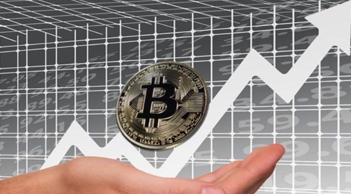 What Is the Maximum Level That Bitcoin’s Price Could Attain In 2024? Maximum Level That Bitcoin’s Price