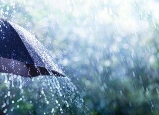 iStock-1164520030 (1)
