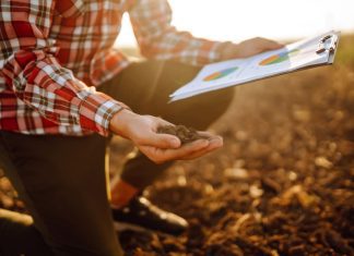 The Crucial Role of Soil Health in Securing Our Global Food Future iStock-1364474157