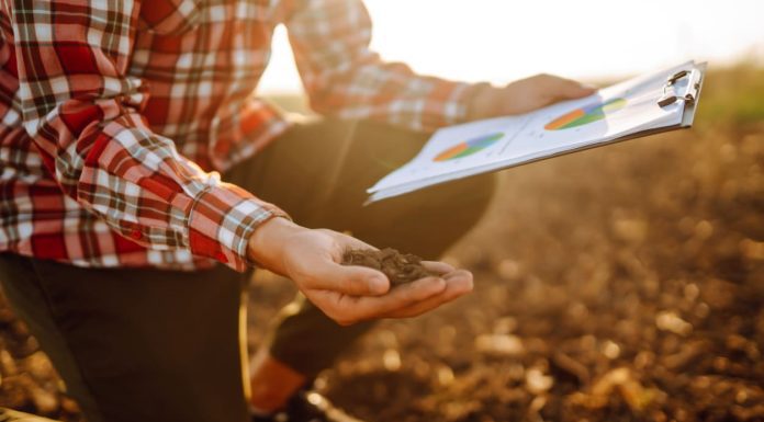 The Crucial Role of Soil Health in Securing Our Global Food Future iStock-1364474157