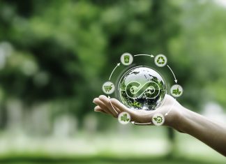 Eco-Friendly Entrepreneurship: Saving Energy and Costs from Day One iStock-1495016154