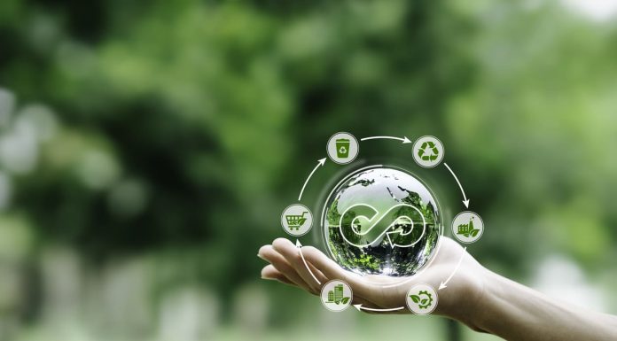 Eco-Friendly Entrepreneurship: Saving Energy and Costs from Day One iStock-1495016154