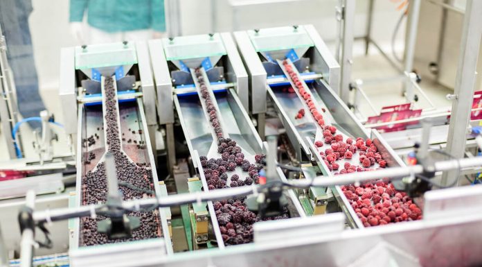 The Critical Role of Advanced Technology in Enhancing Small-Scale Food Processing iStock-502100612