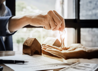Intellectual Property Lawyer
